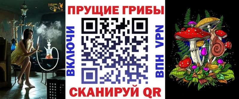Галлюциногенные грибы MAGIC MUSHROOMS  OMG сайт  Котельники  наркошоп 